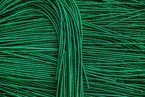 Канітель пружна Зелений / Чорний 1,6 мм