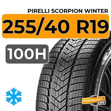 Pirelli Scorpion Winter 255/40 R19 100H XL