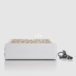 Настольная вытяжка с фильтром Air Max Panther белая gold