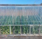 Пленка тепличная (белая), 100мкм, 3м/100м. Прозрачная (парниковая, полиэтиленовая)