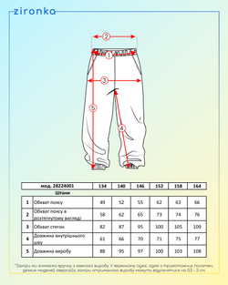 Спортивні брюки сірі для дівчинки (арт. 2822400102)
