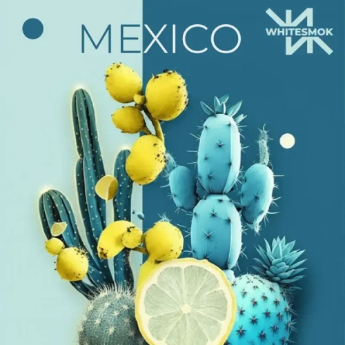 Табак White Smok MEXIKO (Вайт Смок Мехико | Кактус Лайм) 50г