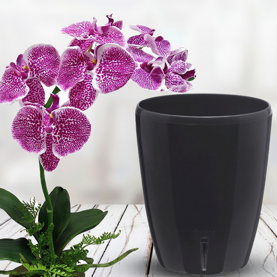 Горшок-орхидейница для цветов с автополивом "ORHIDEA TWIN" 20х16,7см антрацит