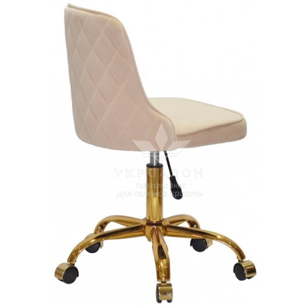 Стул мастера Adamo velor Gold