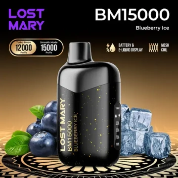 Lost Mary BM15000 - Blueberry Ice (2% nic)