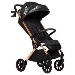 Прогулянкова коляска Lionelo Cloe
