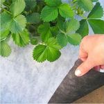 Агроволокно 50г./м2 1.07x50м. черно-белое (Чехия)