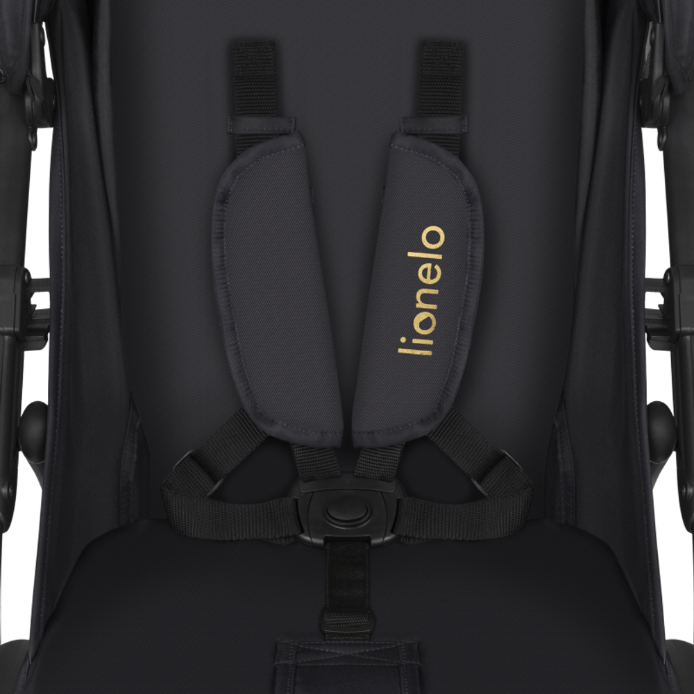 Прогулочная коляска Lionelo Annet Plus