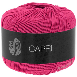 CAPRI 033