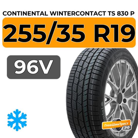 Continental WinterContact TS 830 P 255/35 R19 96V XL