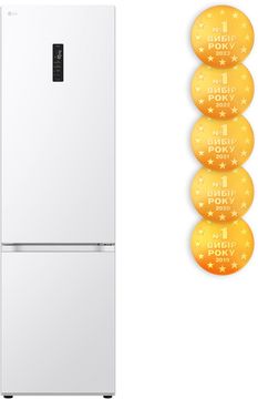 Двокамерний холодильник LG GW-B509FVFW