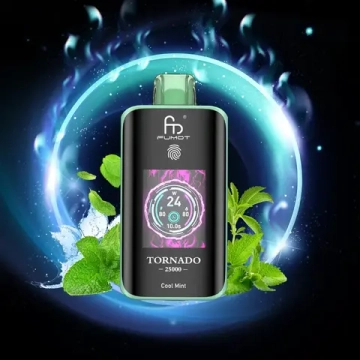 RandM Tornado 25000 - Cool Mint 5%