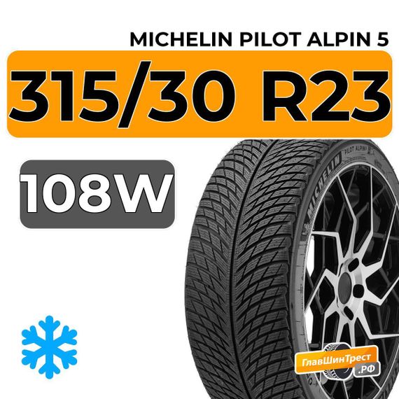 Michelin Pilot Alpin 5 SUV 315/30 R23 108W XL
