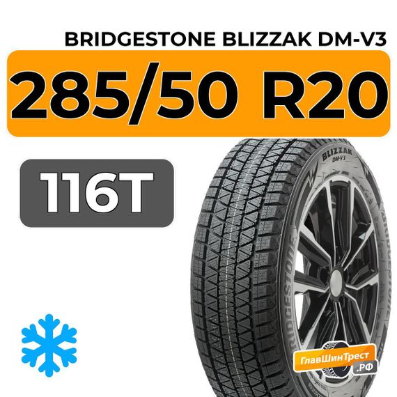 Bridgestone Blizzak DM-V3 285/50 R20 116T XL