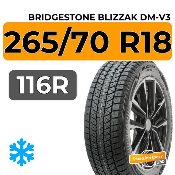 Bridgestone Blizzak DM-V3 265/70 R18 116R