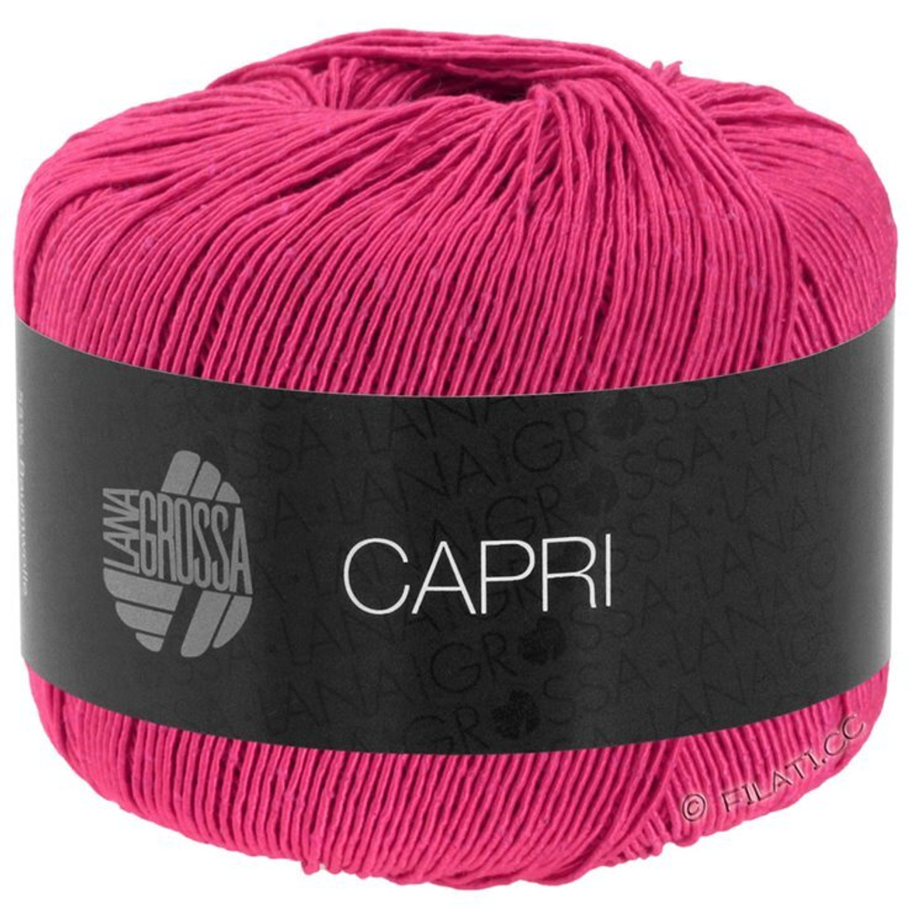 CAPRI 033