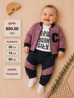 Костюм 3в1: кофта, штани, реглан "С", двунитка з начосом, двунитка, бавовна TM "Kidex's"