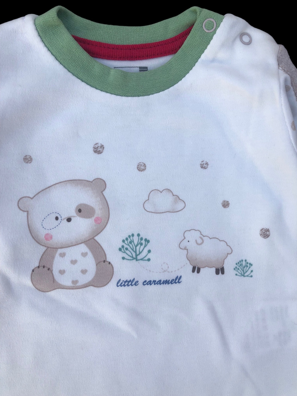 Реглан "Bear", бавовна ТМ “Caramell”