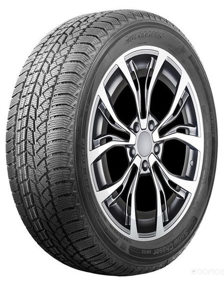 Autogreen Snow Chaser 2 AW08 205/55 R16 91H