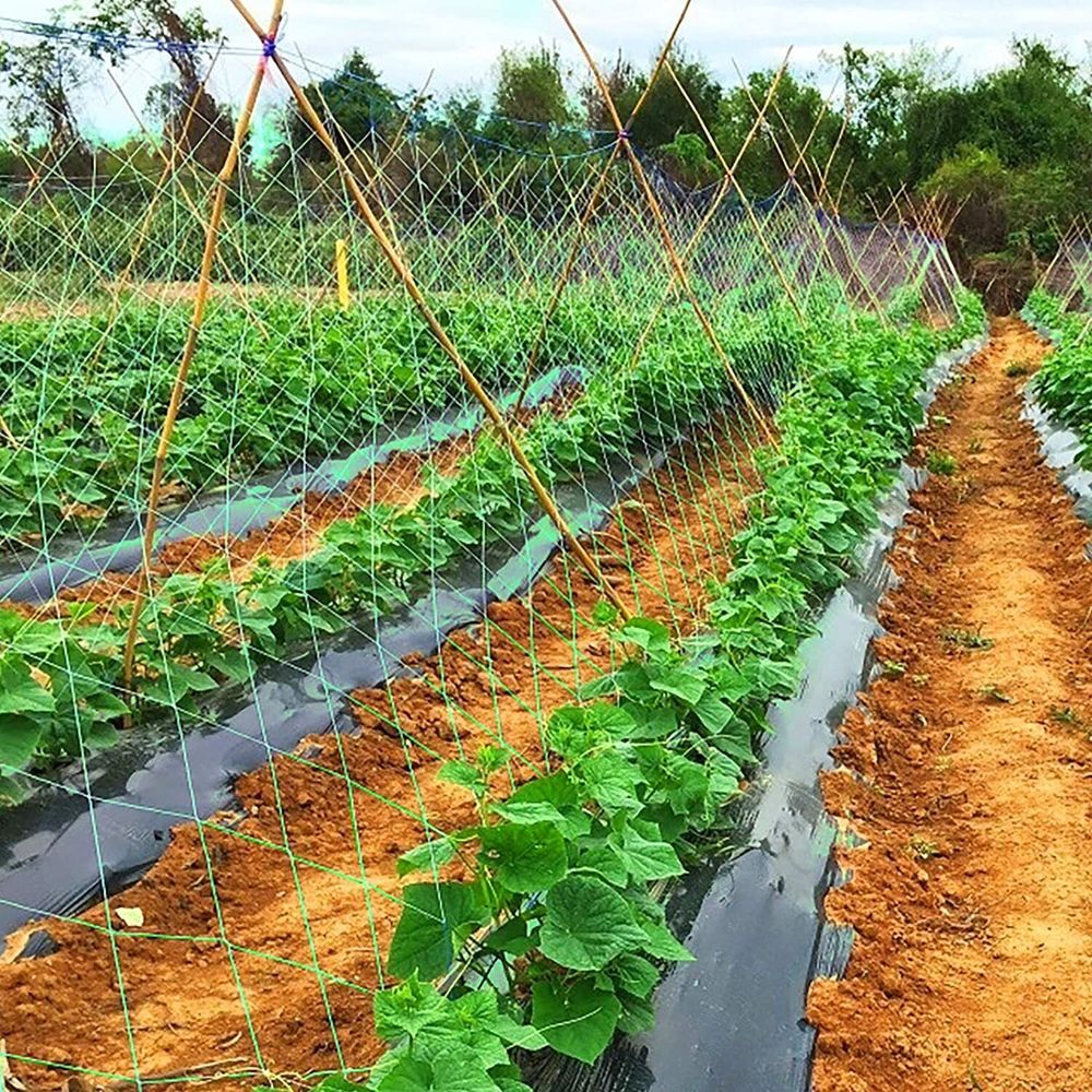 Огуречная сетка 1.7х50м  Шпалерная сетка для подвязки вьющихся растений.