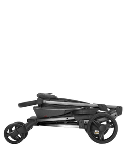 Універсальна коляска 2 в 1 Carrello Vista CRL-6501/1