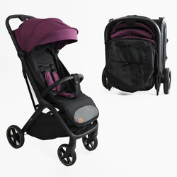 Прогулочная коляска Joy Willow