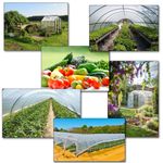 Пленка тепличная 100мкм, 6м/50м. 24 месяца уф- стабилизатор. Зеленая.