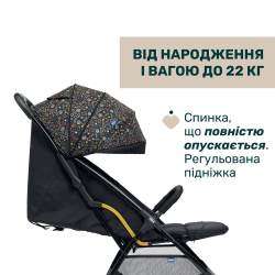 Прогулянкова коляска Chicco Glee