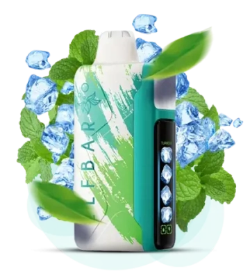 Elf Bar Ice King 30000 - Miami Mint 5%