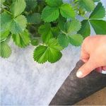 Агроволокно 50г./м2 1.6x50м. черно-белое (Чехия)