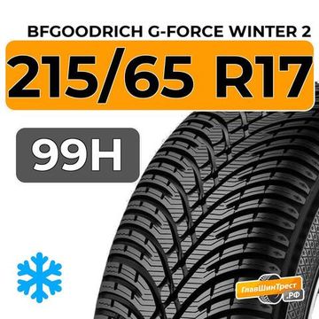 BFGoodrich G-Force Winter 2 SUV 215/65 R17 99H