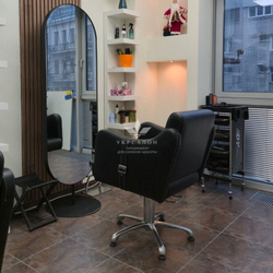 Зеркало Shkoda