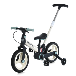 Детский велосипед-трансформер Profi Kids MB 1021 с родительской ручкой