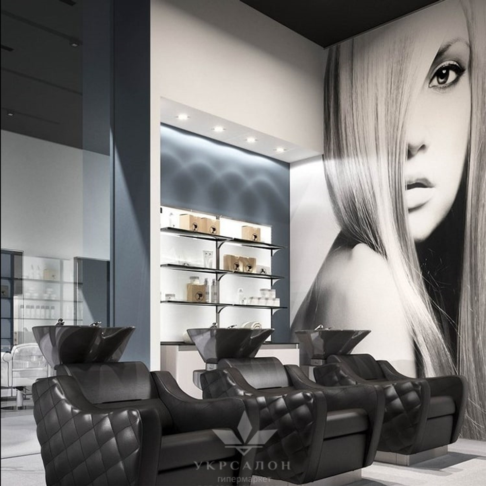 Парикмахерская мойка Ambassador