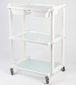 Косметологічний візок s2-2l-w