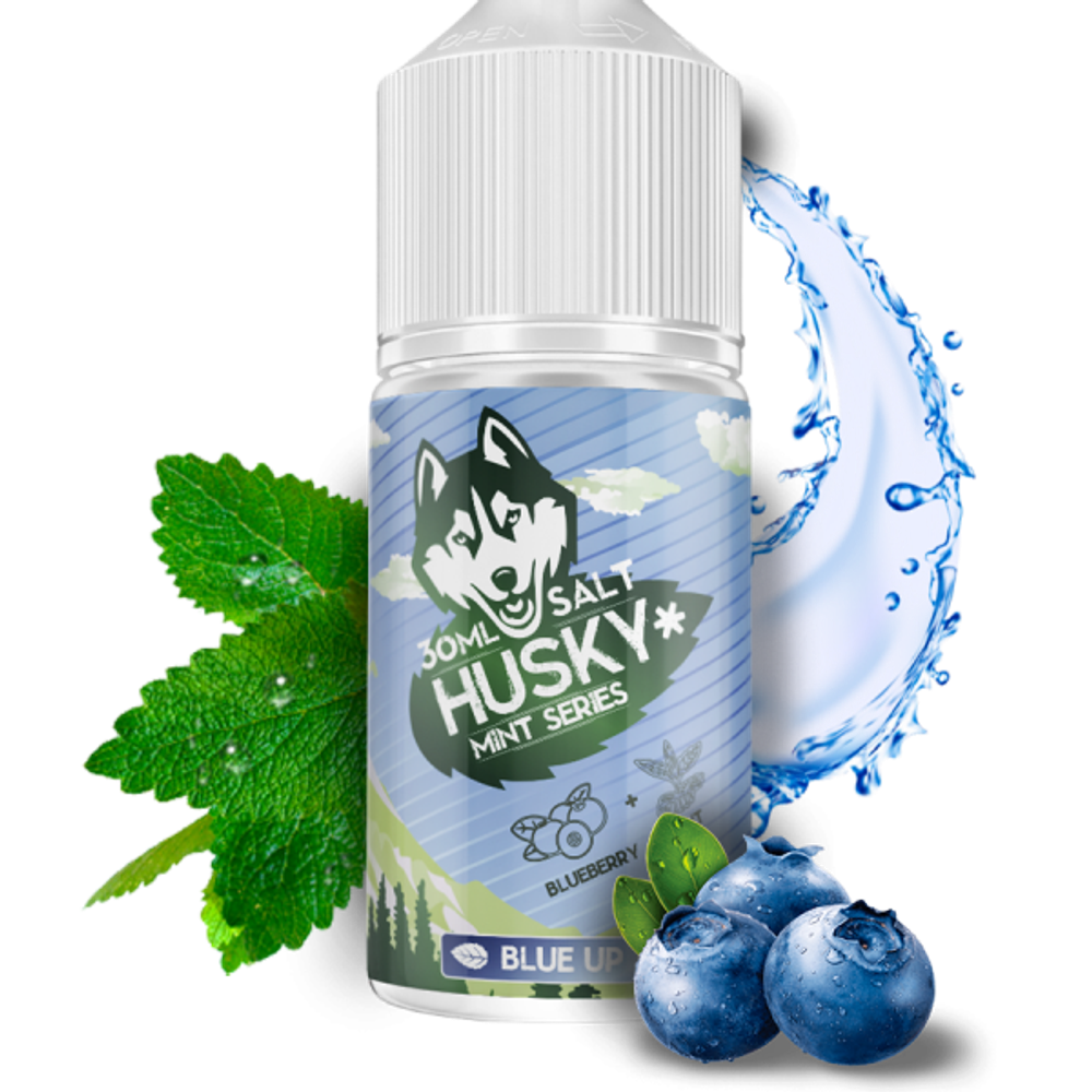 Husky Mint Series-Blue Up (bluberry, mint) 30ml
