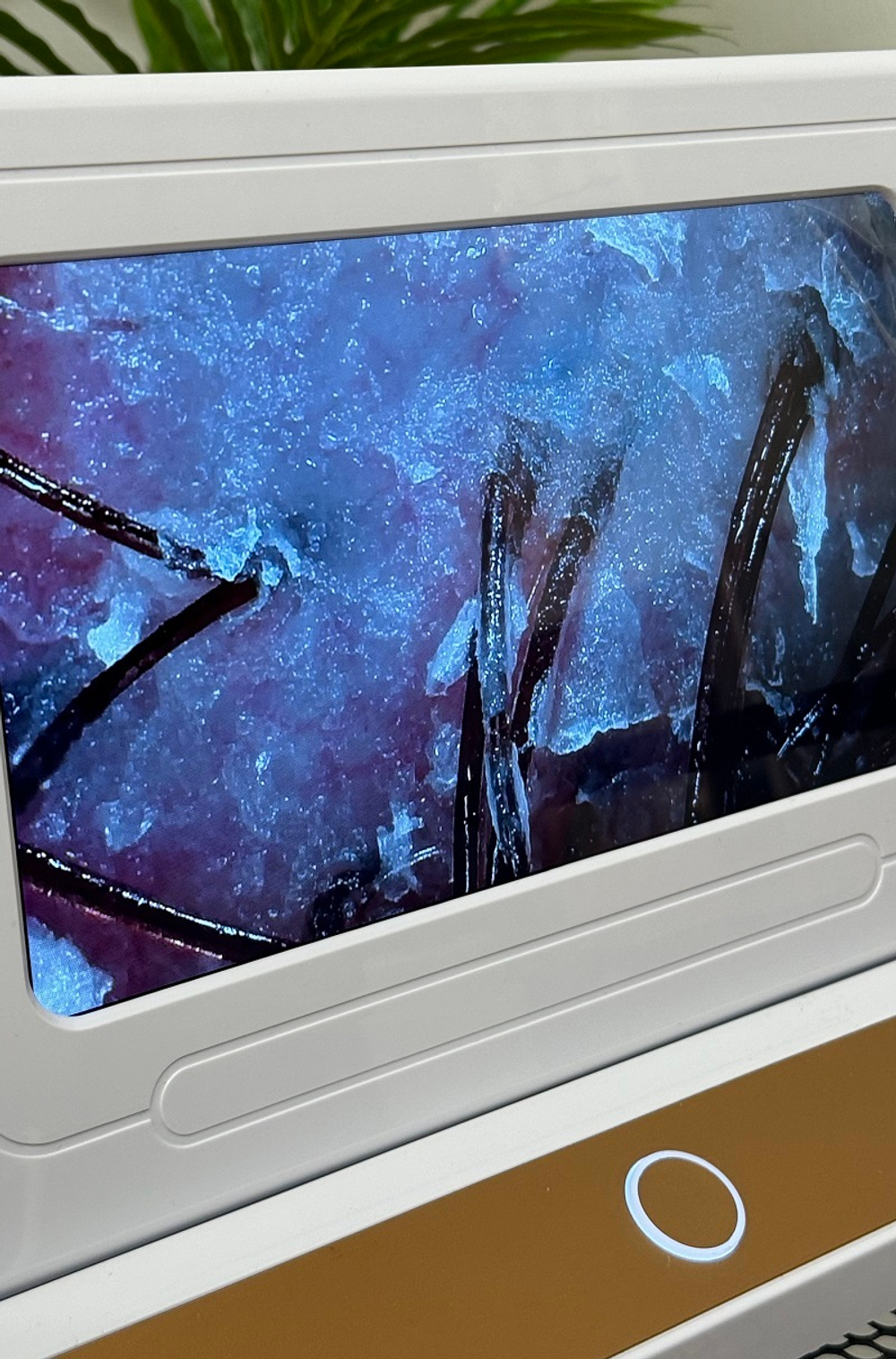 Трихоскоп Premium