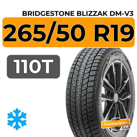 Bridgestone Blizzak DM-V3 265/50 R19 110T