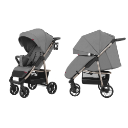 Прогулочная коляска Carrello Echo CRL-8508