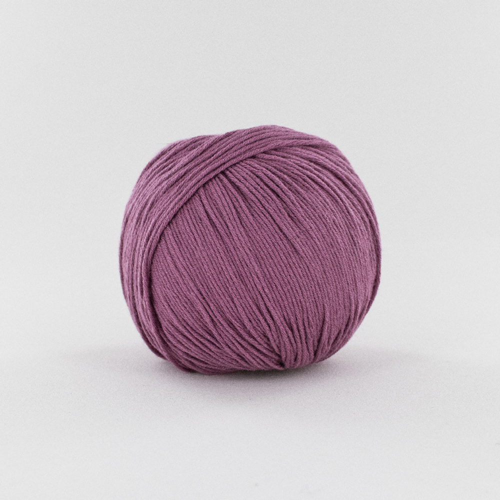 COCACHE 0019