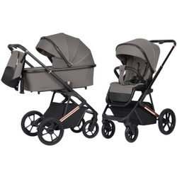 Універсальна коляска 2 в 1 Carrello Sigma CRL-6509 NF