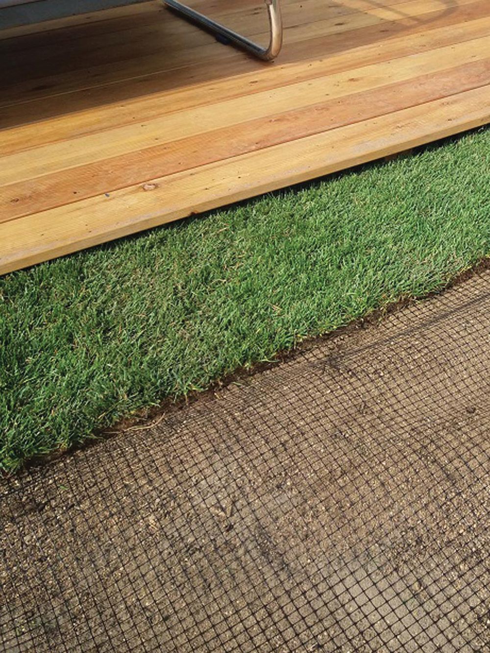 Сетка от кротов. Вольерная 1х100м. ячейка 12х14мм.