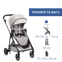 Универсальная коляска 2 в 1 Chicco Seety