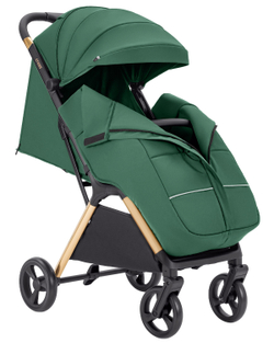 Прогулянкова коляска Carrello Cross CRL-5523