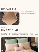 Комплект постельного белья Сатин Velvet Premium с Одеялом VP012