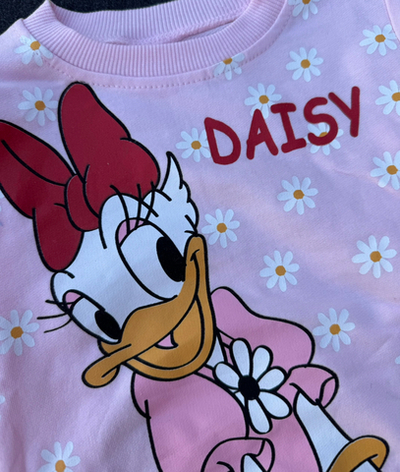 Костюм 2в1: світшот, штани "Daisy", двунитка ТМ "Bobisko"