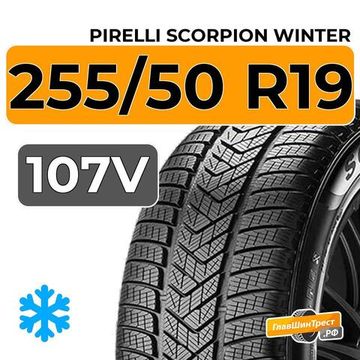 Pirelli Scorpion Winter 255/50 R19 107V XL RunFlat