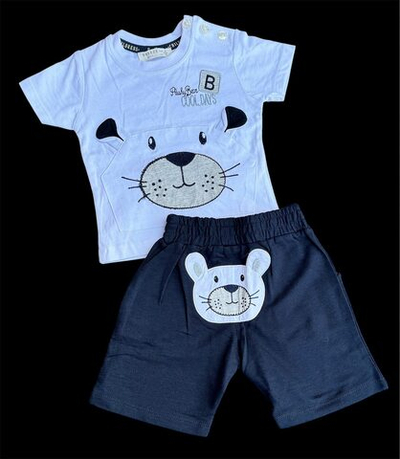 Костюм 2в1: футболка, шорти, бавовна, двунитка ТМ "Breeze"