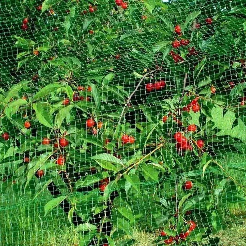 Защитная сетка от птиц 4х20 м (20х20мм). Зеленая. УФ-стабилизированная