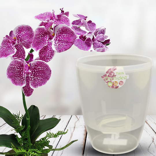 Горщик-орхідейниця для квітів з автополивом "ORHIDEA TWIN" 15*12,5 см прозорий